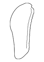 11318618317 - : Timing Chain for Mini Image