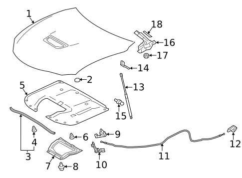 Hood & Components for 2020 Lexus RC F #0
