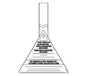 8E0010352P - Body: Air Bag Information Label for Audi Image