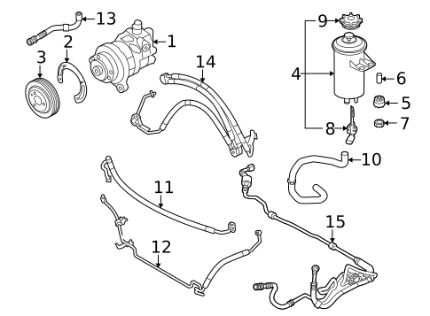Pump & Hoses for 2011 BMW X6 #1