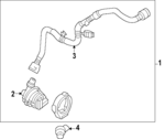 LR185778 - : 2022-2023 Land Rover - Water Hose for Land Rover: Range Rover, Range Rover Sport Image