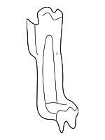 53711S87A00 - Steering: Power Steering Pump Reservoir Bracket for Honda: Accord Image