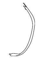 22707125 - Electrical: Control Cable for Chevrolet: Malibu | Oldsmobile: Alero | Pontiac: Grand Am Image