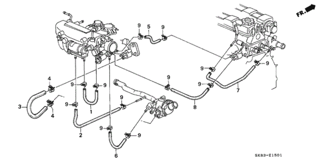 Water Hose for 1992 Acura Integra #0