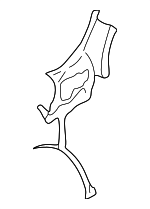 5930065D42 - Body: Dash Panel for Suzuki Image