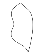 TP851FLAA - Body: Seat Back for Chrysler: PT Cruiser Image