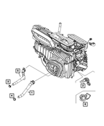 68515647AA - Air Conditioners and Heaters: Heater Supply And Return Hose for Mopar Image