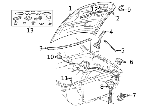 Hood & Components for 2002 Lincoln Blackwood #0