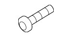 T2H19936 - Cooling System: Shutter Screw for Jaguar Image
