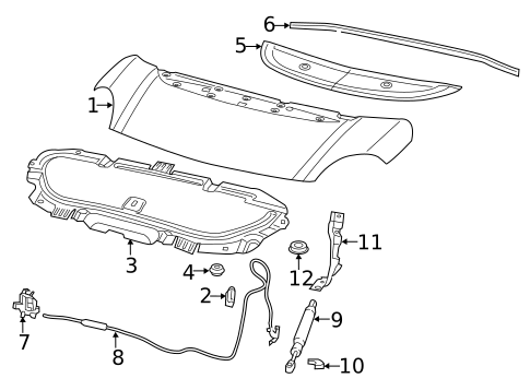 Hood & Components for 2018 Fiat 500L #0