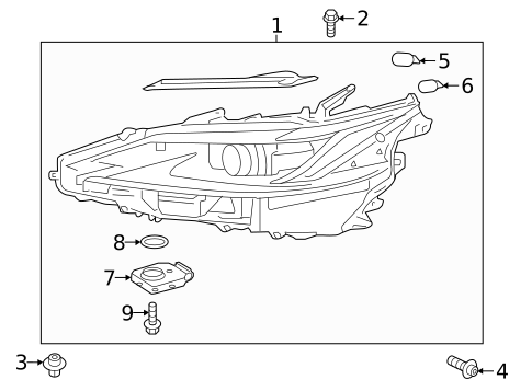 Bulbs - Chassis for 2025 Lexus ES300h #0