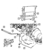 52028918AK - Cooling: Oil Cooler Tube And Hose for Dodge: Ram 2500, Ram 3500 Image