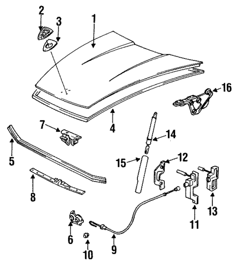 Hood & Components for 1992 Porsche 911 #0