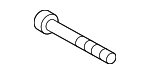 PAF004572 - Brakes: Caliper Mount Bolt for Porsche: Cayenne, Macan, Panamera, Taycan Image