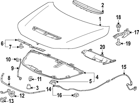 Hood & Components for 2024 Acura Integra #0