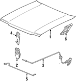 323823031A - Body: Hood for Volkswagen: Quantum Image