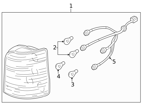 Bulbs - Chassis for 2008 Hyundai Entourage #1