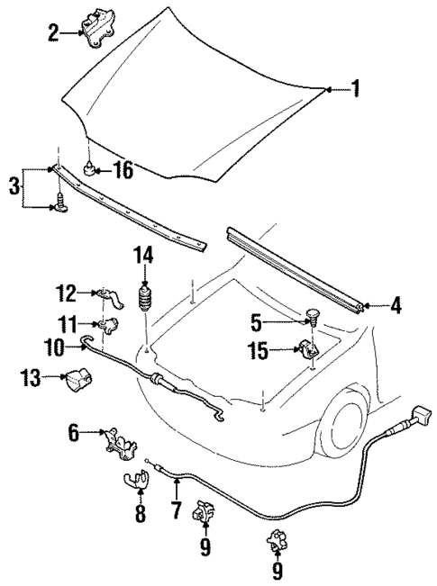 Hood & Components for 2000 Ford Escort #0