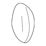 4819830060 - Suspension: Lower Control Arm Adjust Cam for Lexus: GS300, GS400, GS430, IS200t, IS250, IS300, IS350, IS500, LS430, RC F, RC200t, RC300, RC350, SC430 Image