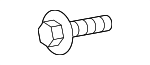 11519387 - Cooling System: Radiator Bolt for GM Image
