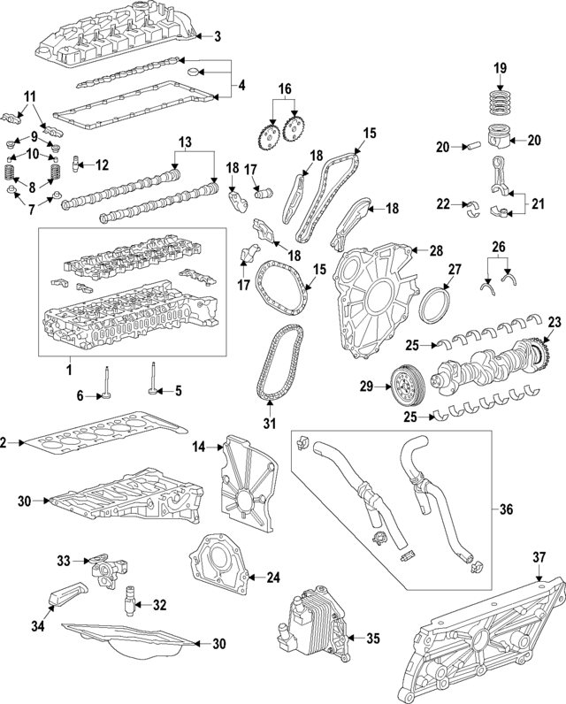 55515640 - Engine: Engine Rocker Arm for GM Image