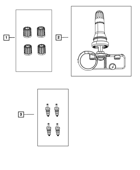 Tire Monitoring System for 2023 Chrysler Pacifica #0