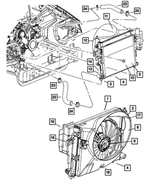 Radiator Outlet Hose