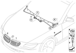 51137077931 - Vehicle Trim: Grille Left for BMW Image