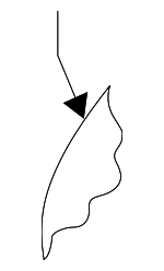 88450B1010 - Body: Seat Back Pad for Hyundai Image