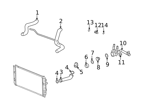 Radiator Hoses for 2002 Pontiac Grand Am #0
