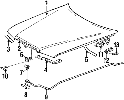Hood & Components for 1989 Mercedes-Benz 260E #0