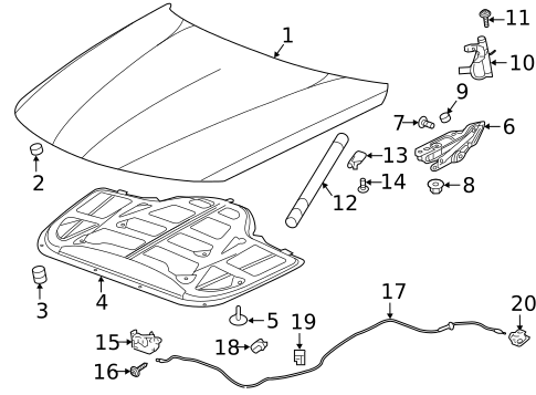 Hood & Components for 2017 Cadillac CT6 #0