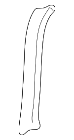 8D085835101C - Body: Side Cover Gasket for Audi Image