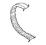 58109119D - Engine: Timing Belt for Volkswagen: Cabriolet, Corrado, Fox, Golf, Jetta, Passat, Quantum, Rabbit, Rabbit Convertible, Scirocco, Vanagon Image