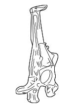 4320250050 - Suspension: Knuckle for Lexus: LS500, LS500h Image