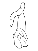 88964333 - Fuel System: Level Sensor for GM Image