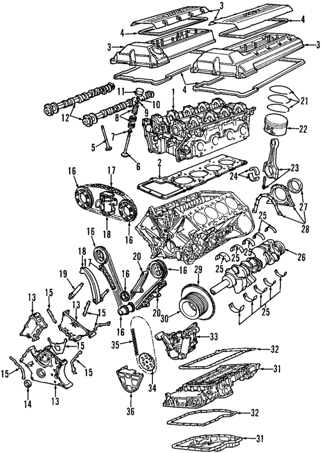 11317598263 - Engine: Timing Chain for BMW Image