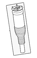LR178633 - : Shock Assembly for Land-Rover Image