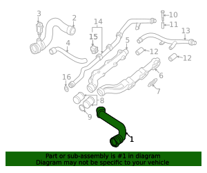 11-53-1-406-766 - Upper Hose 2000-2003 BMW M5 | BMW Auto Parts Warehouse