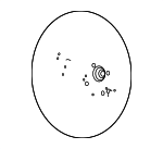 56111AR590NVJ - : Body for Hyundai Image