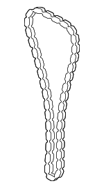 135060V010 - : Timing Chain for Toyota Image