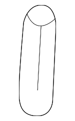 N90469701 - Body: Bulb for Audi: A4, A4 Quattro, A8, A8 Quattro, S4, S8 Image