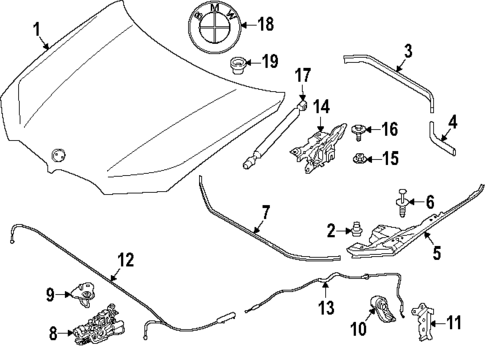 Hood & Components for 2025 BMW XM #0