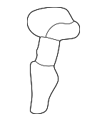 7193042020B0 - Body: Headrest Guide for Toyota: RAV4 Image