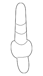 Side Reinforced Rivet