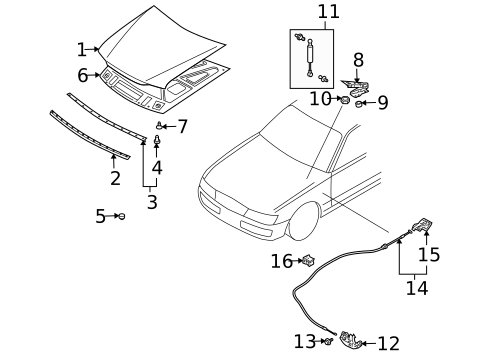 HOOD & COMPONENTS for 2003 INFINITI M45 #0