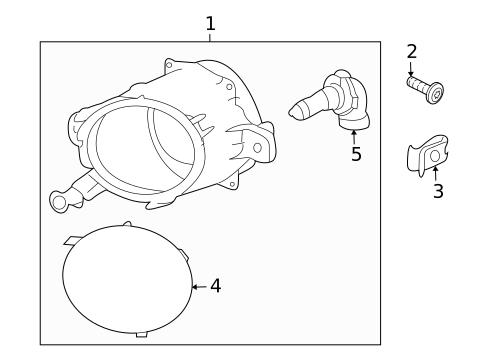 Bulbs - Chassis for 2008 Saturn Astra #2