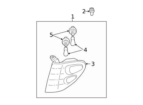 Bulbs - Chassis for 2004 Toyota Sequoia #3