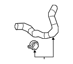 16572F2010 - Cooling System: Lower Hose for Toyota: Corolla, Corolla Cross Image