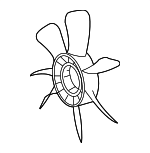 1636150110 - Cooling System: Fan Blade for Toyota: 4Runner, Sequoia, Tundra Image